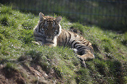 Zoo des 3 vallées