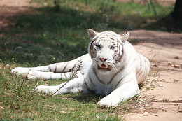 Zoo des 3 vallées