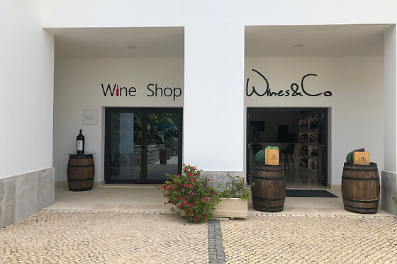 Wines&Co - photo 1