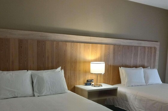 Online Booking EPS - photo 1