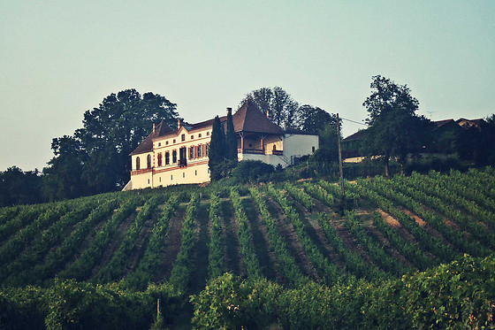 Chateau Labastidié - photo 0