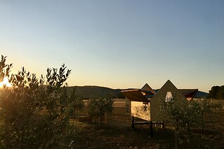 Soggiorno gastronomico di una notte per due all'Agricamping Spineta a Cortona in provincia di Arezzo