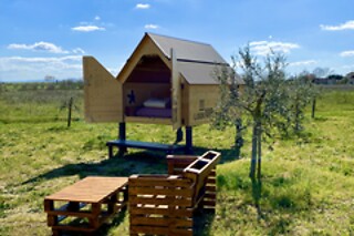 Soggiorno gastronomico di una notte per due all'Agricamping Spineta a Cortona in provincia di Arezzo