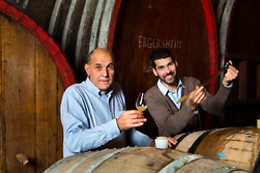 Domaine Brand et Fils