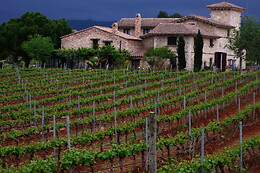 BODEGAS Y VIÑEDOS BARON D'ALBA