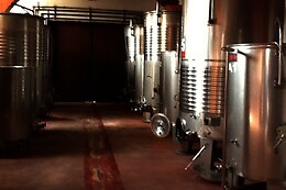 BODEGAS Y VIÑEDOS BARON D'ALBA