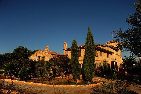 BODEGAS Y VIÑEDOS BARON D'ALBA - photo 9