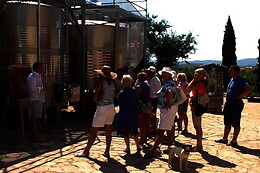 BODEGAS Y VIÑEDOS BARON D'ALBA