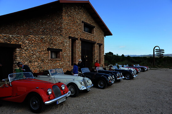 BODEGAS Y VIÑEDOS BARON D'ALBA - photo 11