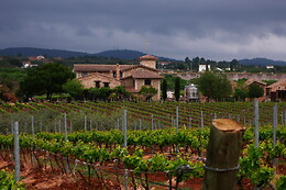BODEGAS Y VIÑEDOS BARON D'ALBA