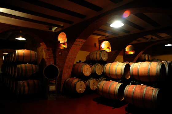 BODEGAS Y VIÑEDOS BARON D'ALBA - photo 13
