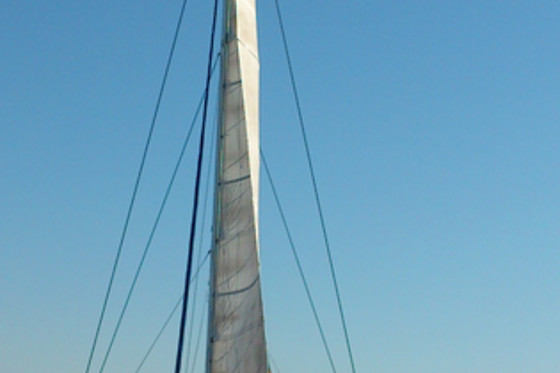 MUNDO MARINO VALENCIA - photo 5