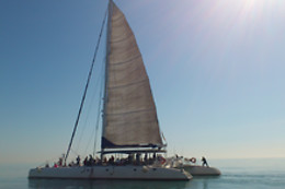 MUNDO MARINO VALENCIA