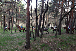 CENTRO HÍPICO LOS CIRUELOS
