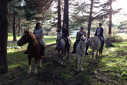 CENTRO HÍPICO LOS CIRUELOS