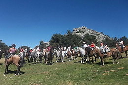CENTRO HÍPICO LOS CIRUELOS