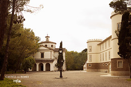 CASTELL DEL REMEI