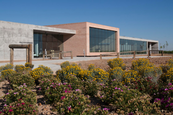 BODEGAS FINCA MONTEPEDROSO - photo 10