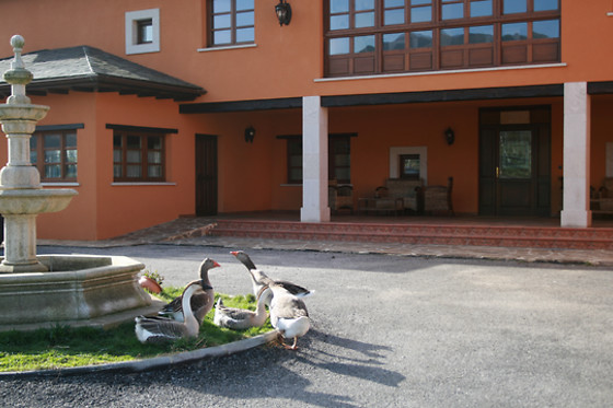 HOTEL RURAL YEGUADA ALBEITAR - photo 7