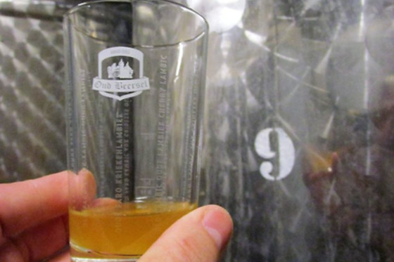 Brouwerij Oud Beersel - photo 9