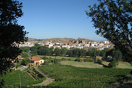BODEGA VIÑA PLACENTINA