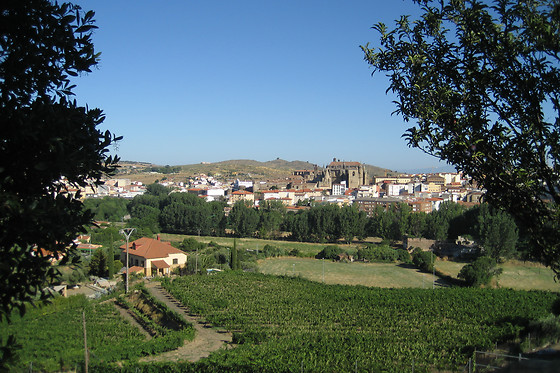 BODEGA VIÑA PLACENTINA - photo 0