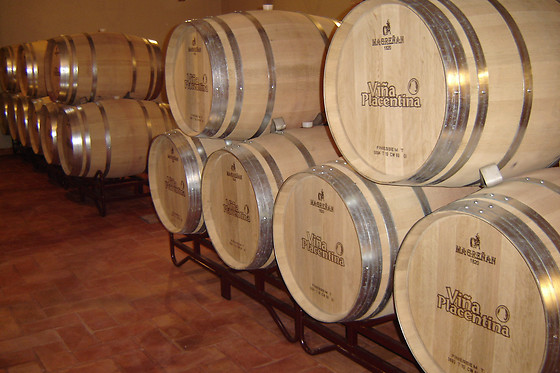 BODEGA VIÑA PLACENTINA - photo 2