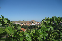 BODEGA VIÑA PLACENTINA