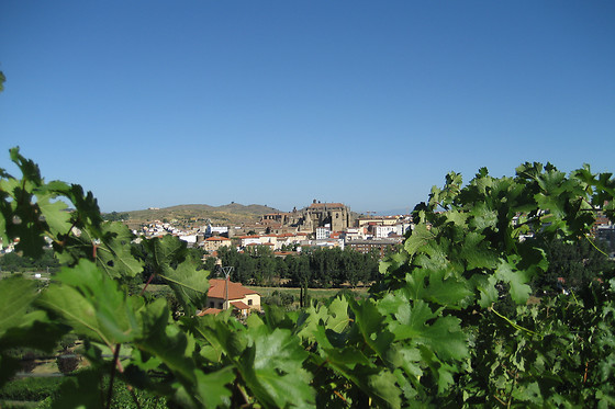 BODEGA VIÑA PLACENTINA - photo 4
