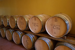 CORTIJO EL CURA ECO-BODEGA