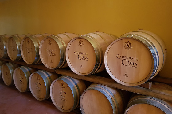 CORTIJO EL CURA ECO-BODEGA - photo 3