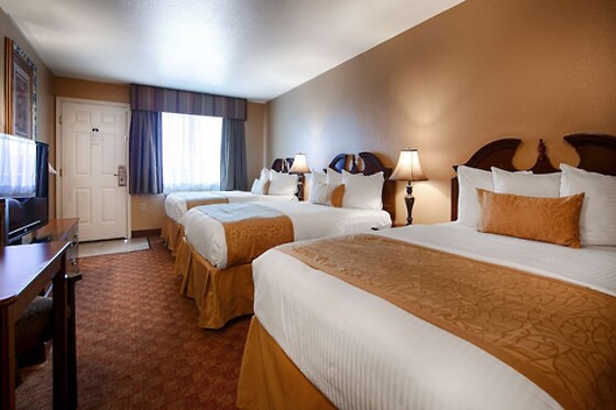 Online Booking EPS - photo 9