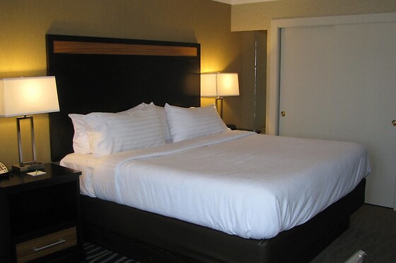 Online Booking EPS - photo 4