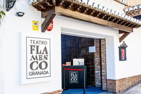 TEATRO FLAMENCO GRANADA - photo 1