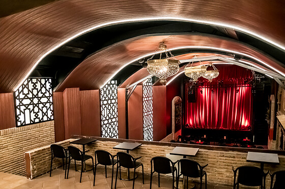 TEATRO FLAMENCO GRANADA - photo 3