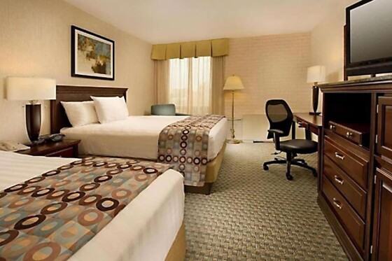 Online Booking EPS - photo 7