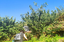 VALLE AVENTURA