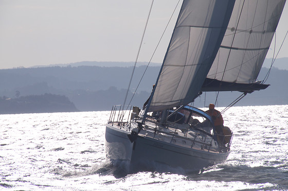 ALTAVELA - photo 0