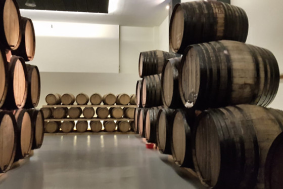 BODEGAS MONOVAR - photo 0