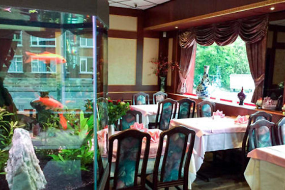 Woo Ping Schiedam - photo 0