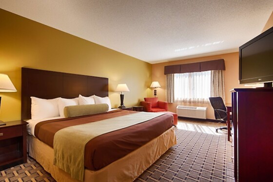 Online Booking EPS - photo 5