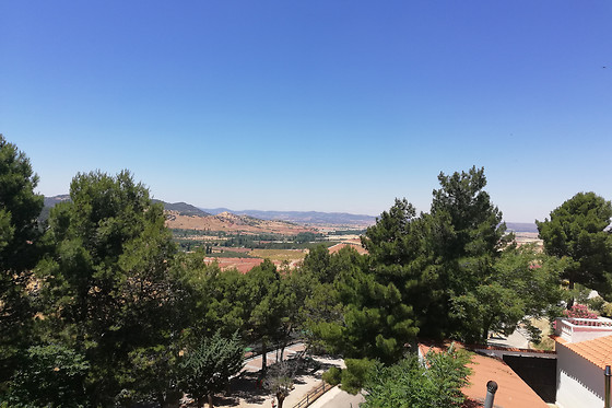 HOSTAL LOS ROSALES - photo 6