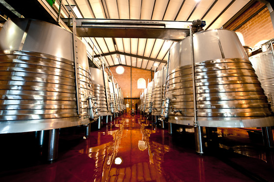 PAGO DE LAS ENCOMIENDAS VIÑEDOS Y BODEGAS - photo 4