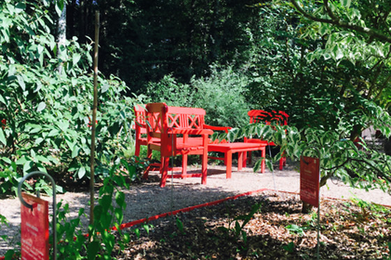 La Pagode de Chanteloup - photo 5