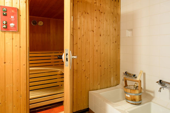 Hotel Schwarzwald Schäfer - photo 4