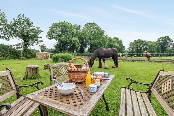 Une roulotte et des chevaux - photo 12