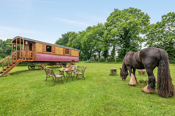 Une roulotte et des chevaux - photo 16