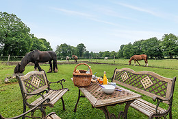 Une roulotte et des chevaux