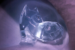 Village Igloo - Les Arcs