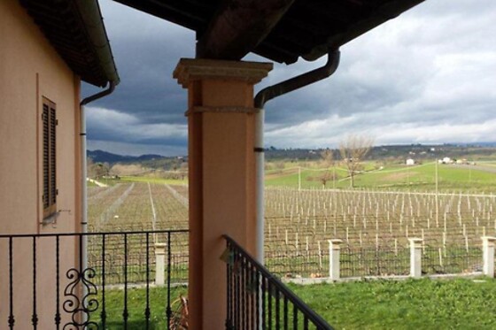 Cantina Eraldo Dentici - photo 0